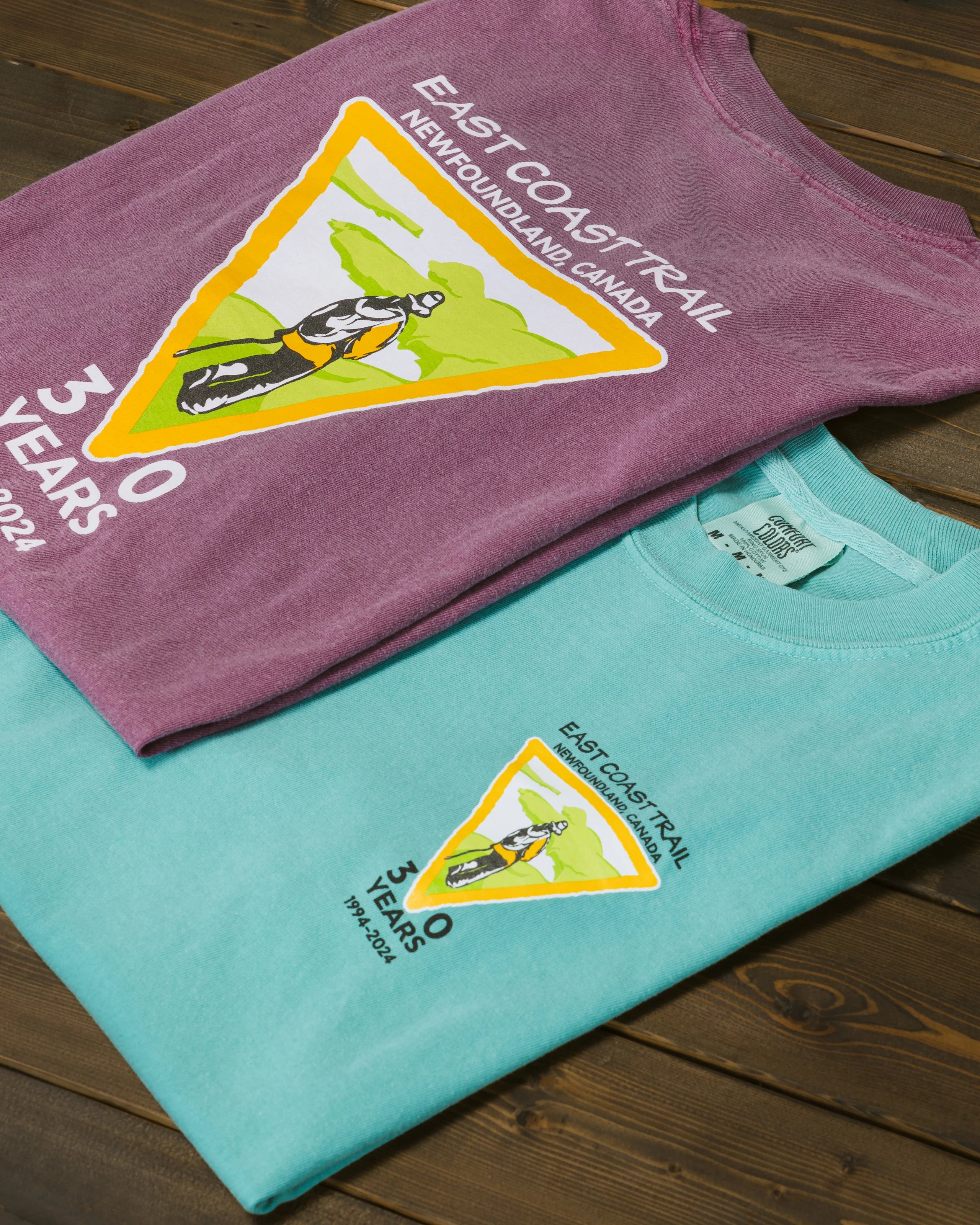 Big Savings Limited Edition 30th Anniversary T-Shirt